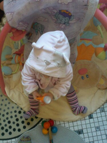 DSC_0003.JPG image