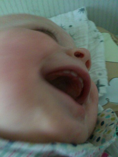 DSC_0443.JPG image