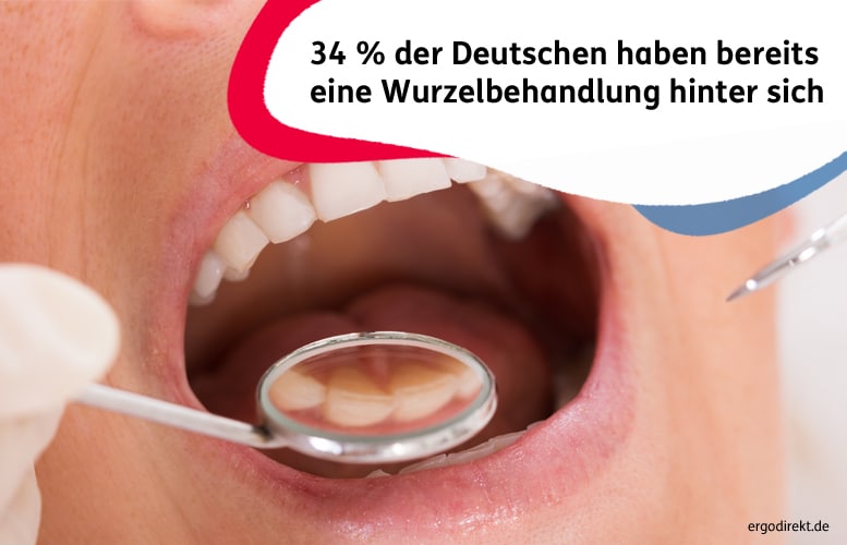 ergodirekt