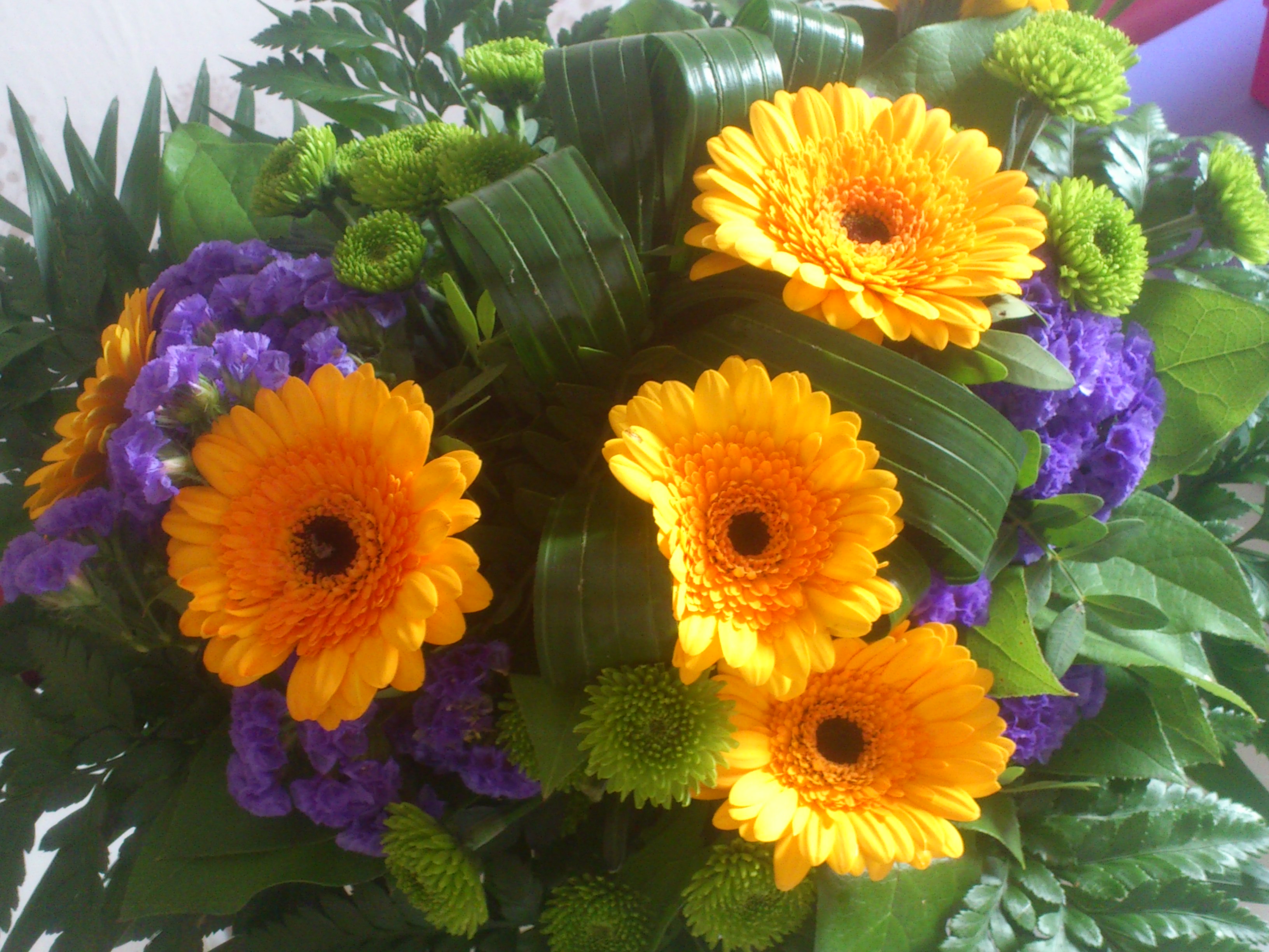 Blumenfee.de – der Blumenversand: Sommer per Post! | Mamamulle's Blog